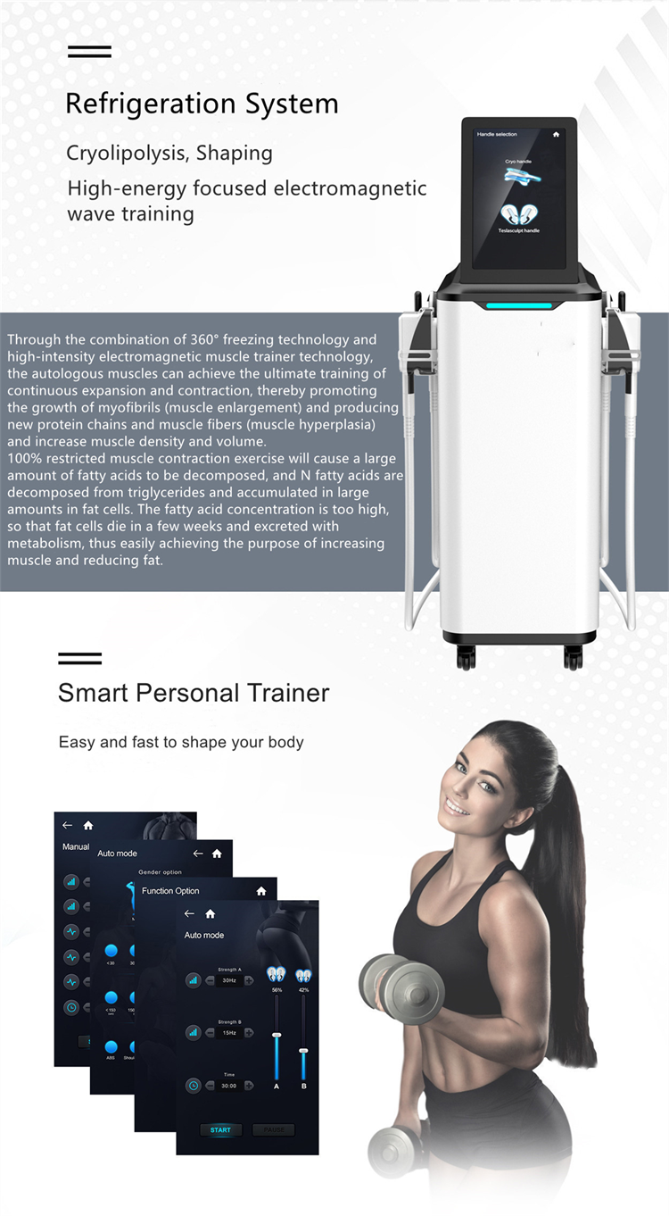 Fat Reduction Machine (2)